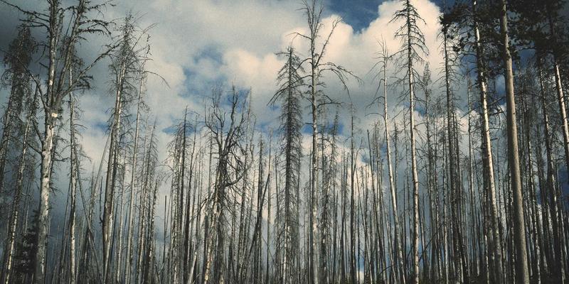 快时尚品牌如何高效利用服装模特?3大策略实现展示场景快速切换