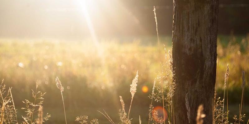 智能模特道具革命：集成传感器与LED如何打造动态交互式服装展示新体验？
