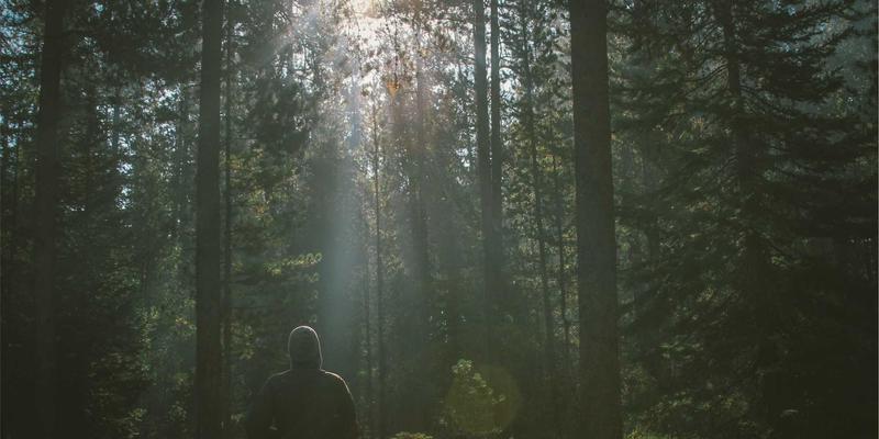 服装模特道具标准化与定制化：利奥模特教你平衡批量生产与品牌独特性